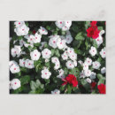 Search for inner postcards Red