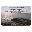 Search for successful magnets Encouragement