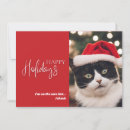 Search for funny cat christmas cards Pet lover