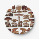Search for hipster plates Forest