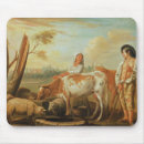 Search for peasant electronics Cattle