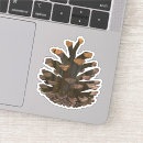 Search for pinecone stickers Woodland