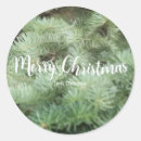 Search for fir tree stickers Woods