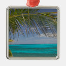 Search for bahamas christmas tree decorations Island