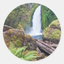 Search for columbia river stickers Forest