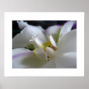 Search for 8 posters White