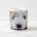 Search for animal mugs Dog