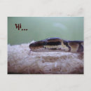 Search for python postcards Royal