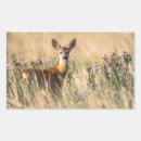 Search for meadows stickers Nature