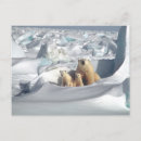 Search for polar bear postcards Cubs