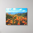 Search for california poppy art Botanical