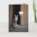 Search for tabby cats cards Pet