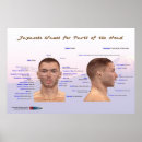 Search for karate judo posters Kendo