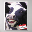 Search for carnivore posters Cow