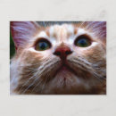 Search for cat moving announcement cards Home