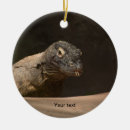 Search for dragon photography Animal