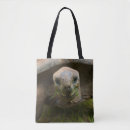 Search for tortoise the bags Marine life