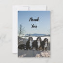 Search for tee shirts cards Dog