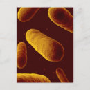 Search for pathology postcards Research