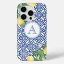 Search for amalfi iphone cases Capri