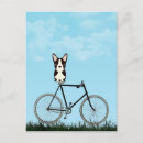 Search for boston terrier Antique