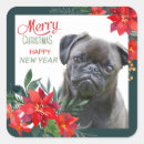 Search for black pug stickers Animal