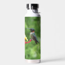 Search for water photography Bird