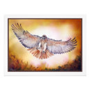 Search for endangered birds posters Conservation