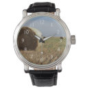 Search for route 66 watches Superstock