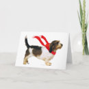 Search for basset christmas cards Animals