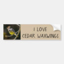 Search for picture bumper stickers Photograph