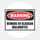 Search for alaskan malamute stickers Pets