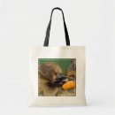 Search for sloth bags Animals