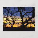 Search for skyscape postcards Nature