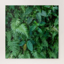 Search for grass puzzles Forest