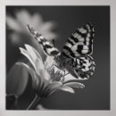 Search for vintage black and white photography posters Elegant