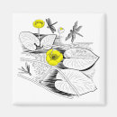 Search for vector graphic magnets Nature