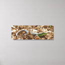 Search for lizards canvas prints Gecko