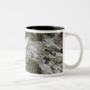 Search for haiti mugs Destruction