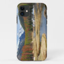 Search for colorado mountains iphone cases Reflection