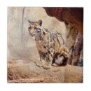 Search for wildlife tiles Leopard