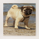Search for dog breeds puzzles Cute