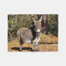 Search for donkey blankets Farm animal