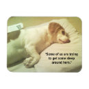 Search for 3x4 photo magnets Dog