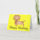 Search for dashound cards Dachshund
