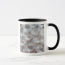 Search for bodega mugs Province