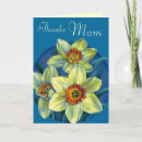 Search for daffodil thank you cards Narcissus
