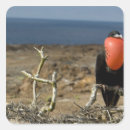 Search for galapagos island stickers Coastal