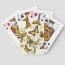 Search for insect playing cards Wings