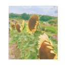 Search for sunflower notepads Botanical